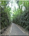 SX5261 : Cutting near Bickleigh on the West Devon Way by David Smith