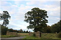 SP5929 : The entrance to Willaston Farm, Hethe by David Howard