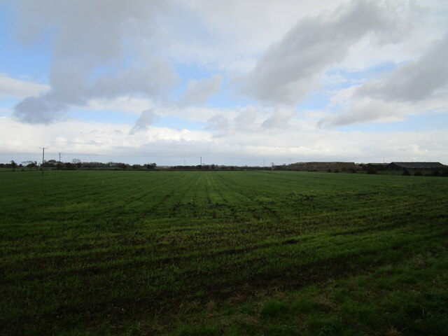 Flat landscape near Thorpe Culvert