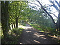 TQ4836 : Forest Way looking towards Hartfield by Marathon