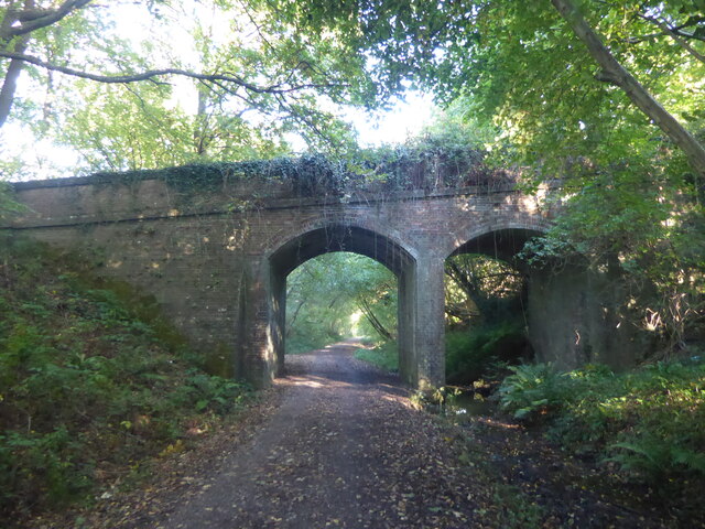 Forest Way near Hartfield