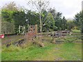 NT7937 : Platform at former Carham Station by Jim Barton