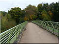 SO7483 : Footbridge across the River Severn by Mat Fascione