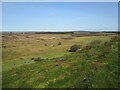 SE8695 : Nab  Farm  and  Langdale  Forest  beyond by Martin Dawes