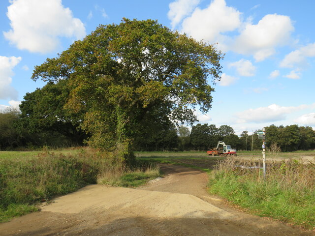 Red Squirrel Trail near Godshill