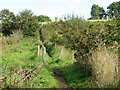 SZ5282 : Public footpath near Godshill by Malc McDonald