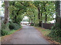 SZ5192 : Folly Lane, near Whippingham by Malc McDonald