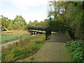 SZ5091 : Medina Greenway near Newport by Malc McDonald