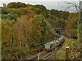 SE1940 : Train approaching Springs Tunnel by Stephen Craven