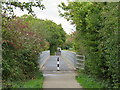 SZ5091 : Bridge on the Red Squirrel Trail near Newport by Malc McDonald