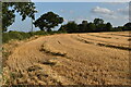 TM1449 : Harvested field bear Claydon Farm by Simon Mortimer