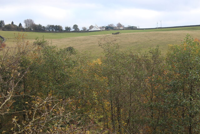 Hillside below Pen-y-garreg Farm