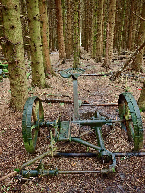 Abandoned engineering, Pifelhead Wood