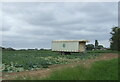 TF3941 : Farm trailer on cabbage field near Scrane End by JThomas