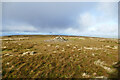 NY2932 : Summit cairn on Knott by Andy Waddington