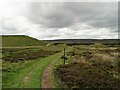 NZ0446 : Track leading to the reservoir by Robert Graham