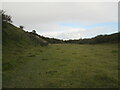 SE9143 : Kiplingcotes  Chalk  Pit.  Goodmanham  Dale by Martin Dawes