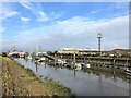 TF4610 : Wisbech marina and port by Richard Humphrey