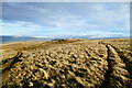 NY9635 : Cairn on Carrs Top by Andy Waddington