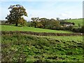 SO8128 : Farmland near Hasfield by Philip Halling