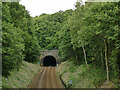 SE1629 : South portal of Bowling tunnel by Stephen Craven