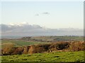 NZ1152 : View from Medomsley Road by Robert Graham