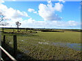 SM9209 : February 2016 view of a field in Johnston, Pembrokeshire by Jaggery