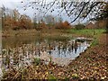 SO7583 : Pond at the Severn Valley Country Park by Mat Fascione