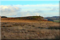 NY9187 : Staniel Heugh from Darney Crag by Andrew Curtis