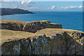 NT9169 : West of St Abb's Head by Ian Capper