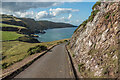 NT9169 : St Abb's Head access road by Ian Capper