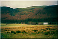 NY0815 : View towards Crag Farm House, Ennerdale by Humphrey Bolton