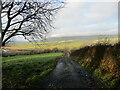 NS7075 : Track on Bar Hill by Alan O'Dowd