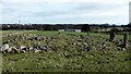 NO9096 : Old Bourtreebush recumbent stone circle by Sandy Gerrard