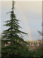 NT2470 : Rainbow over Morningside by M J Richardson