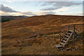 NH3997 : Steps over the Deer Fence, Ross-shire by Andrew Tryon