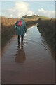 SX9270 : Puddle on Butterfly Lane by Derek Harper