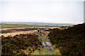 NY7869 : Pennine Way heading north by Andy Waddington