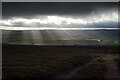 NZ0141 : Southern slopes of Collier Law by Andy Waddington