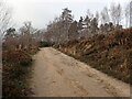 TQ5536 : Track through heathland at Broadwater Warren Nature Reserve by Marathon