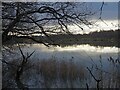 SK4386 : Winter light over Treeton Dyke by Graham Hogg