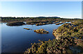 NJ3265 : Ephemeral Pond by Anne Burgess