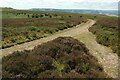 ST1340 : Path junction near Longstone Hill by Derek Harper