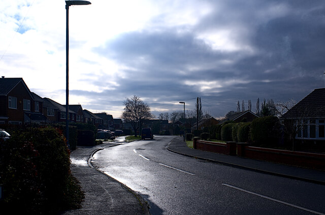 Sunlight on wet surfaces