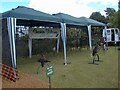 SJ9593 : Cheshire Falconry by Gerald England