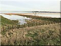 TL2799 : Flood water on Whittlesey Wash in January 2021 - The Nene Washes by Richard Humphrey