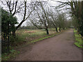 TL6363 : Unused paddocks in Newmarket (set of 2 images) by Hugh Venables