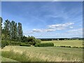 ST7721 : View east from Fifehead Magdalen by Jonathan Hutchins