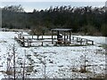 SK6144 : Frost in Gedling Country Park  8 by Alan Murray-Rust