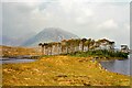 L8047 : Connemara View - May 1994 by Jeff Buck